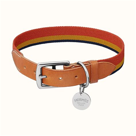 hermes hundehalsband